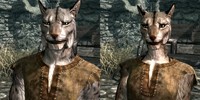 The Elder Scrolls V: Skyrim расы