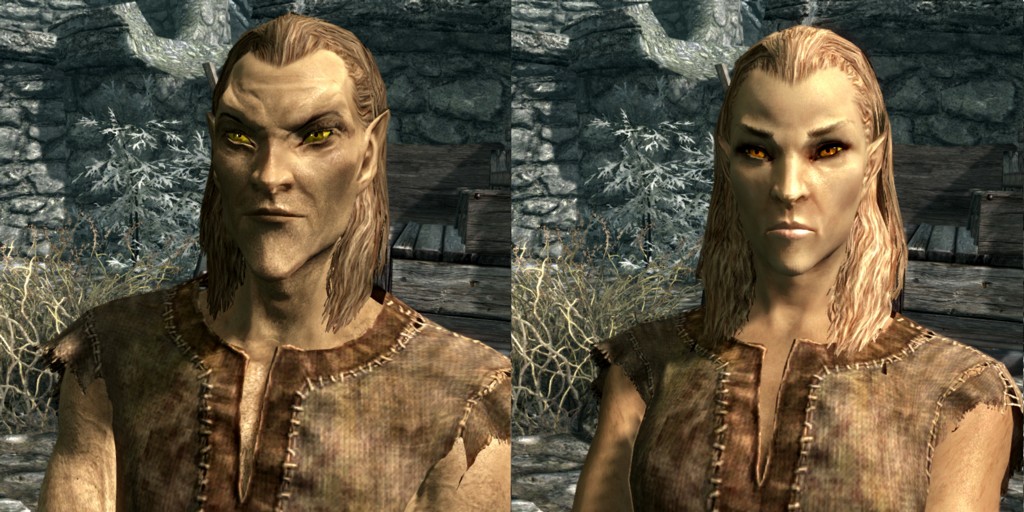 The Elder Scrolls V: Skyrim расы